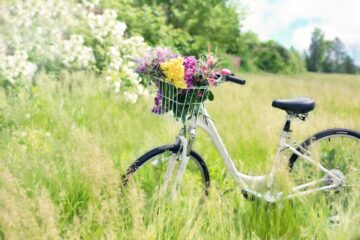 bicycle, meadow, flowers