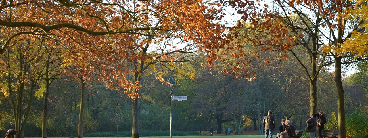 herbst, nature, tree, october, colorful, autumn, fall